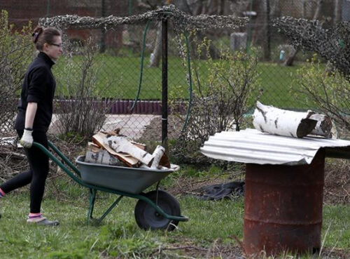Дачников будут штрафовать беспощадно — надо латать дыру в бюджете