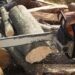 Как выбрать бензопилу, рейтинг бензиновых пил STIHL