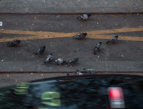Почему при включении дворников вырубается поворотник