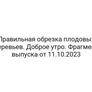 Правильная обрезка плодовых деревьев. Доброе утро. Фрагмент выпуска от 11.10.2023