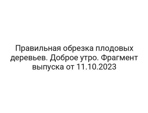 Правильная обрезка плодовых деревьев. Доброе утро. Фрагмент выпуска от 11.10.2023