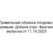 Правильная обрезка плодовых деревьев. Доброе утро. Фрагмент выпуска от 11.10.2023
