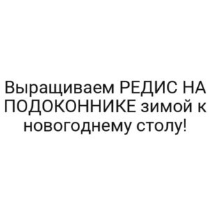 Выращиваем РЕДИС НА ПОДОКОННИКЕ зимой к новогоднему столу!