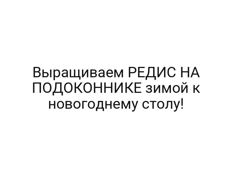 Выращиваем РЕДИС НА ПОДОКОННИКЕ зимой к новогоднему столу!