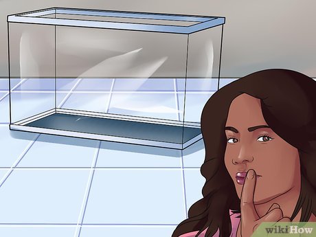 Как сделать аквариум (с иллюстрациями) — wikiHow