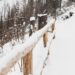 Снег на крыше опасность